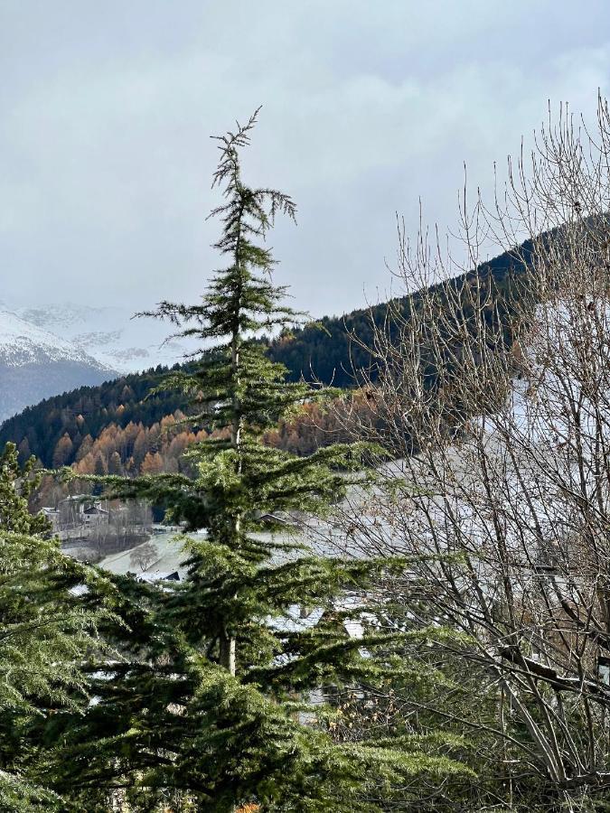Il Pettirosso - Casa Vacanze Bormio Luaran gambar